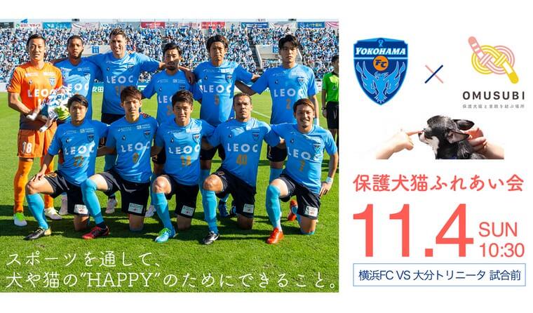 【Jリーグ初開催！】11月4日（日）に横浜FCとOMUSUBIが保護犬猫譲渡会を開催します！